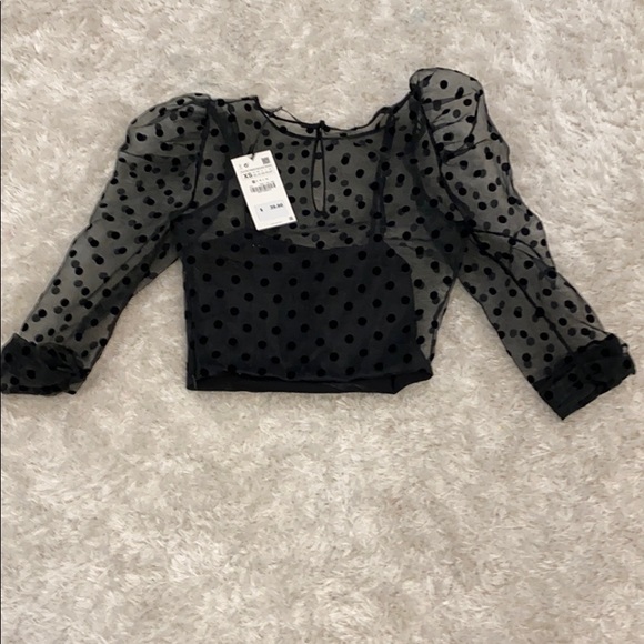 Zara black sheer polkadot crop top. - Picture 3 of 5